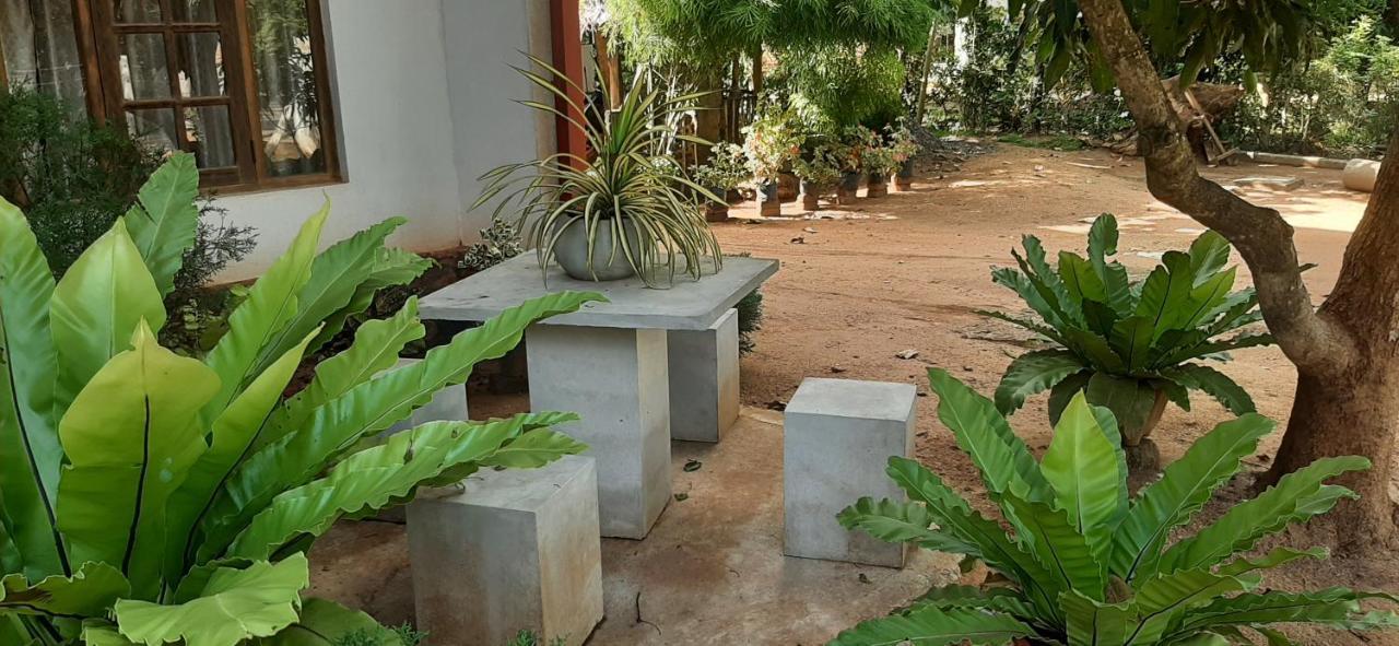 Treasure House Tourist Rest Otel Anuradhapura Dış mekan fotoğraf
